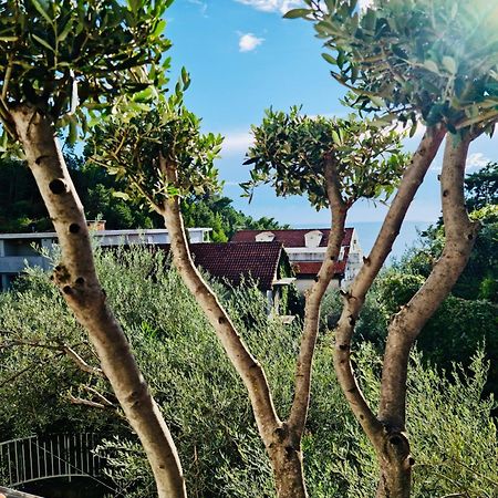סבטי סטפן Villa Nemanja מראה חיצוני תמונה