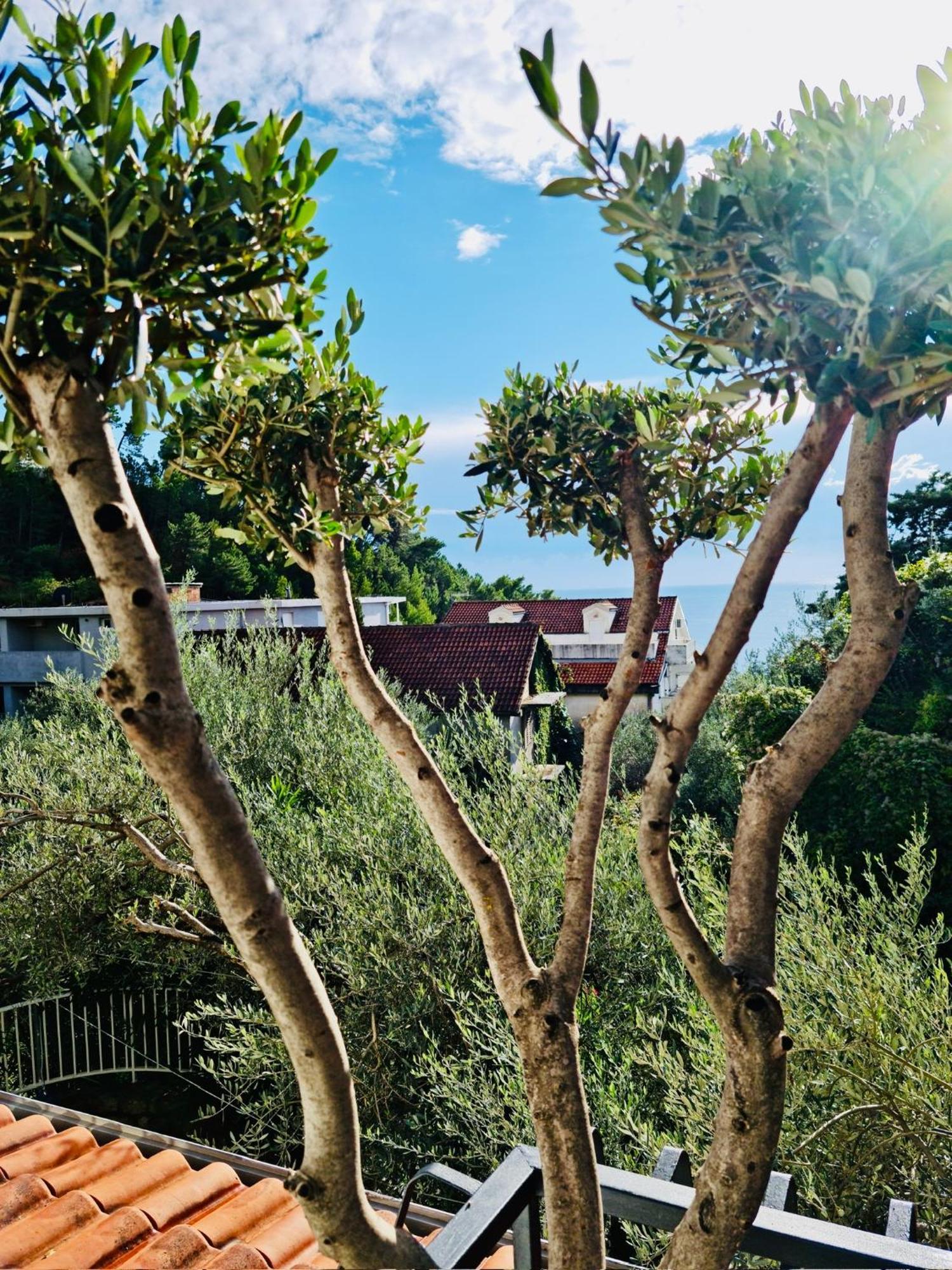 סבטי סטפן Villa Nemanja מראה חיצוני תמונה